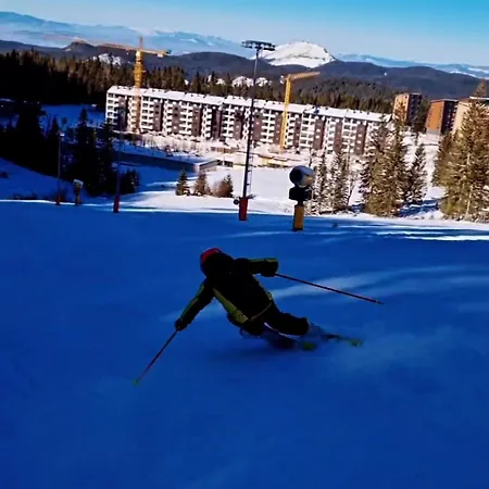 Snow Valley L6-a1 *