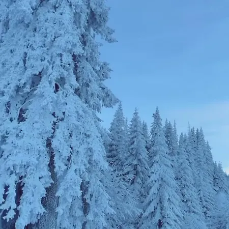 Apartmán Snow Valley L6-a1