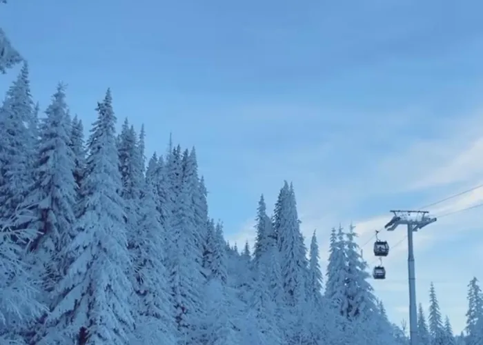 Apartment Snow Valley L6-a1 *